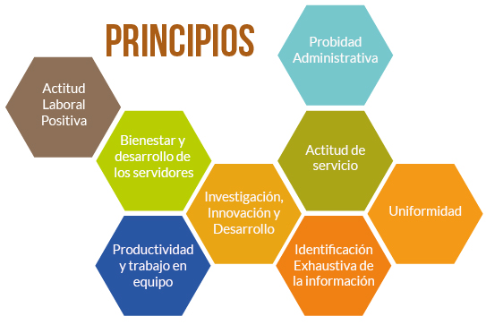 principios institucionales principios institucionales