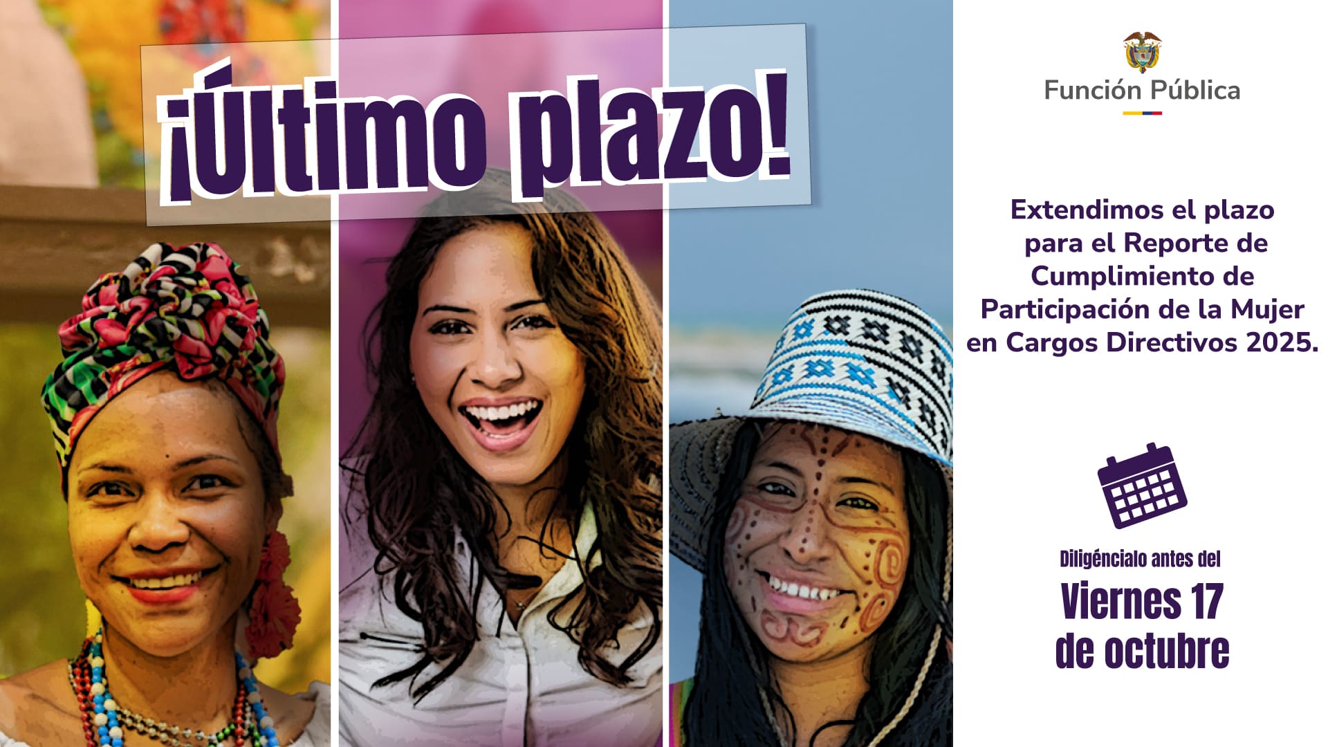Reporte Ley de Cuotas