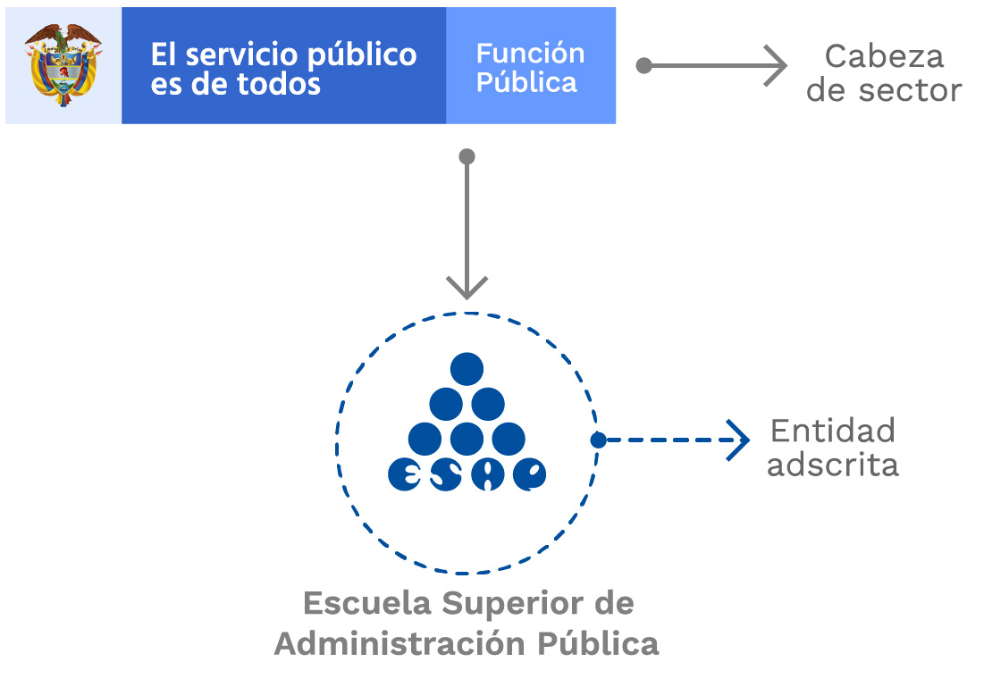 Esquema que muestra a Función Pública como entidad cabeza del sector y a la ESAP como entidad adscrita