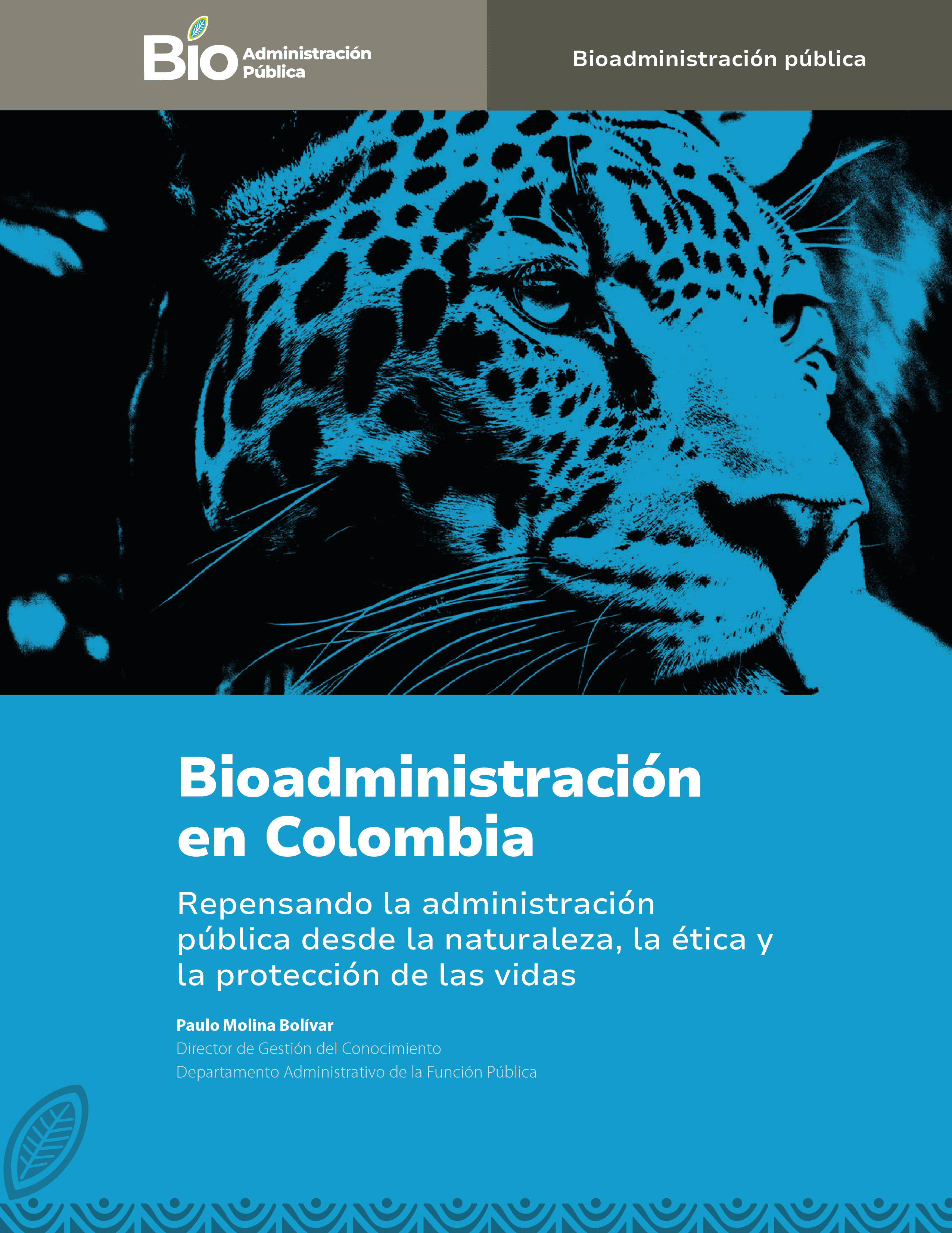 Revista BioAdministración 1ra Ed.