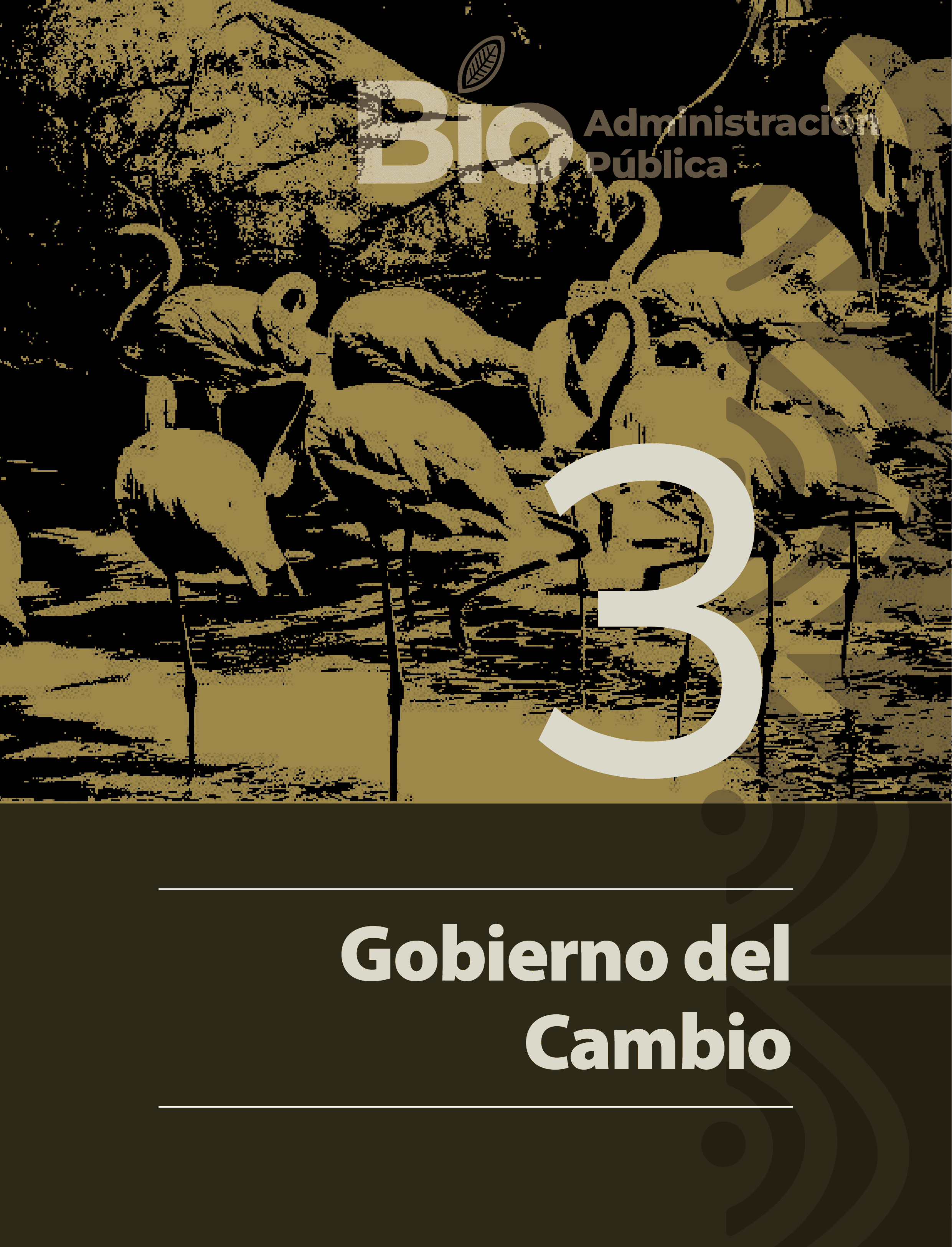Revista BioAdministración 2da Ed.