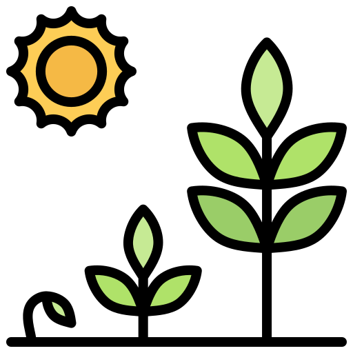 Ciudadania