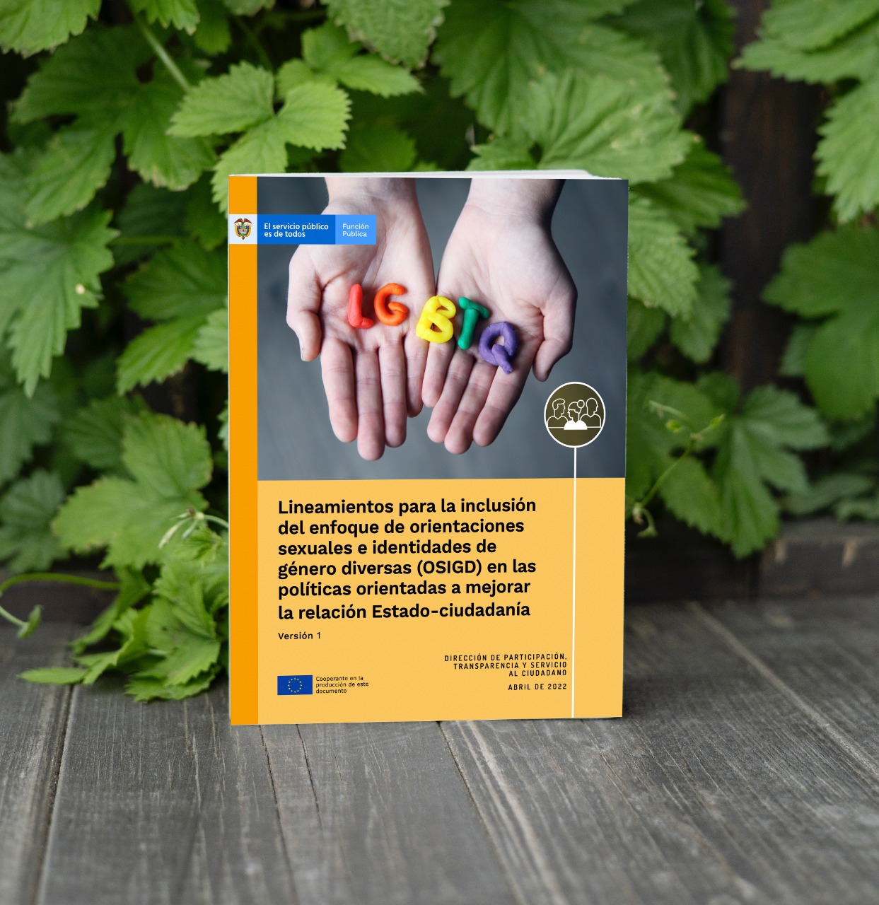 Nueva publicación | Lineamientos para la inclusión del enfoque de orientaciones sexuales e identidades de género diversas (OSIGD) en las políticas orientadas a mejorar la relación Estado-ciudadanía | Función Pública