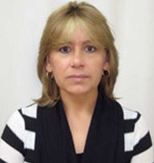 Comentarios