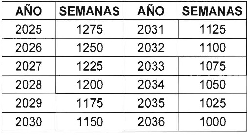 Imagen 16